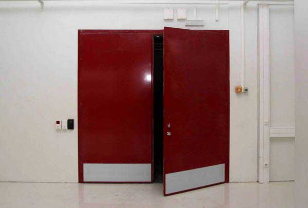 Рал 7040 муар. Противопожарные двери москва техдорс. Двери металлич. Рама распашных противопожарных ворот. Противопожарная дверь без порога.